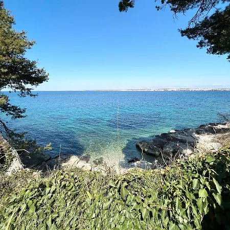 Island House Osljak プレコ