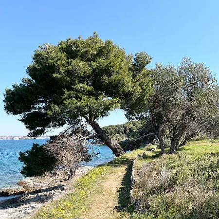 펜션 Island House Osljak *