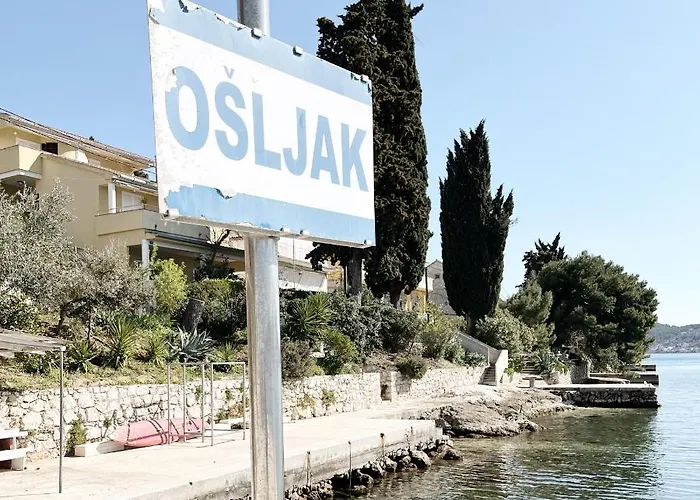 Island House Osljak *