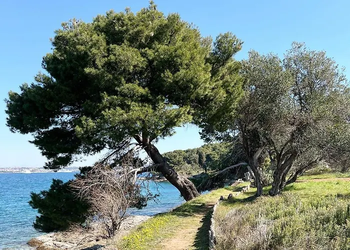 בית נופש Island House Osljak *